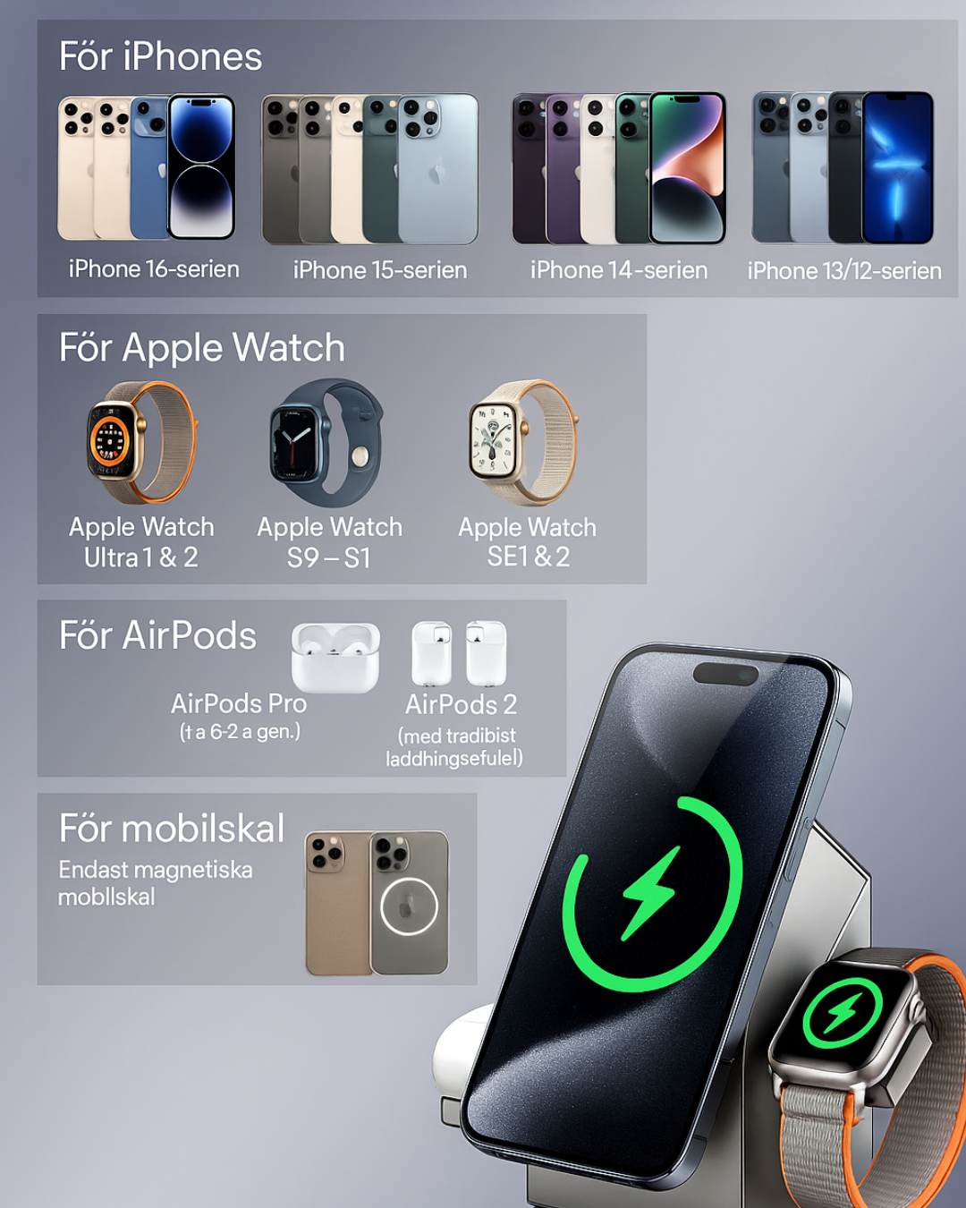 Laddstation Pro